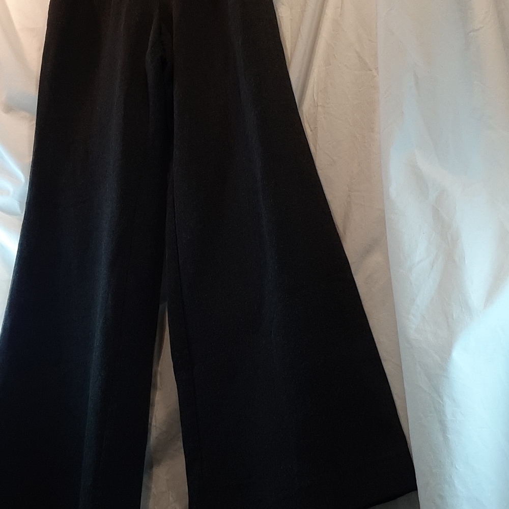 ANN TAYLOR Maternity pant